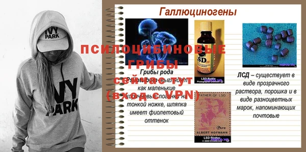 хмурый Корсаков
